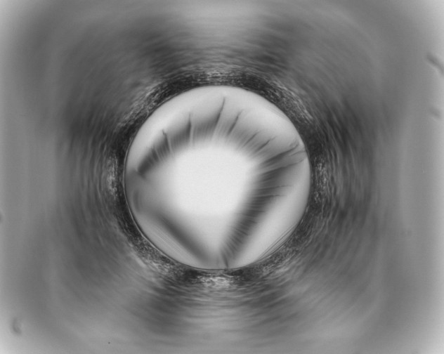 X0000094950698200712201138