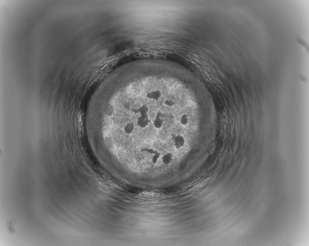 X0000094950699200712201138