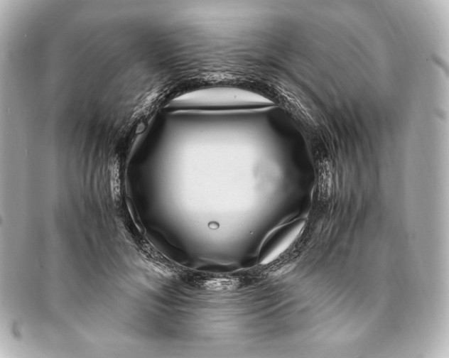 X0000094950700200712201138