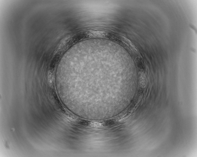 X0000094950701200712201138