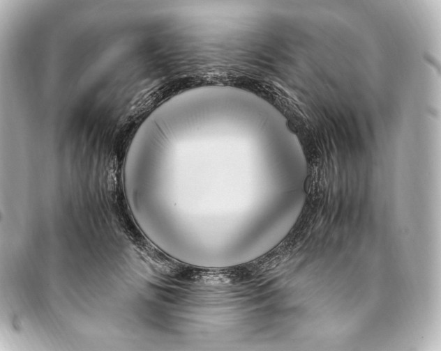 X0000094950702200712201138