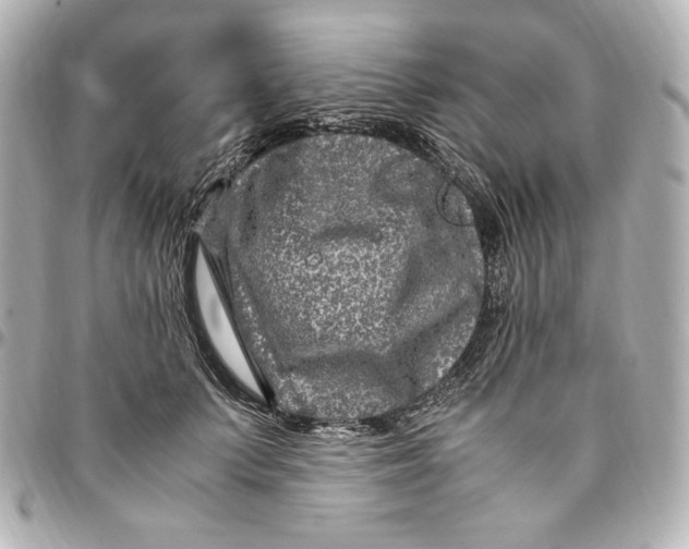 X0000094950703200712201138