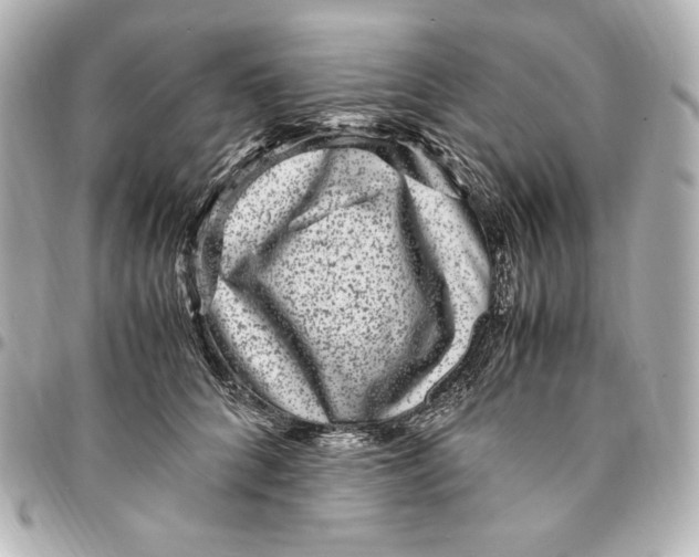 X0000094950704200712201138