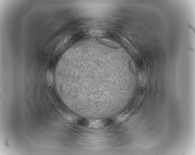 X0000094950705200712201138