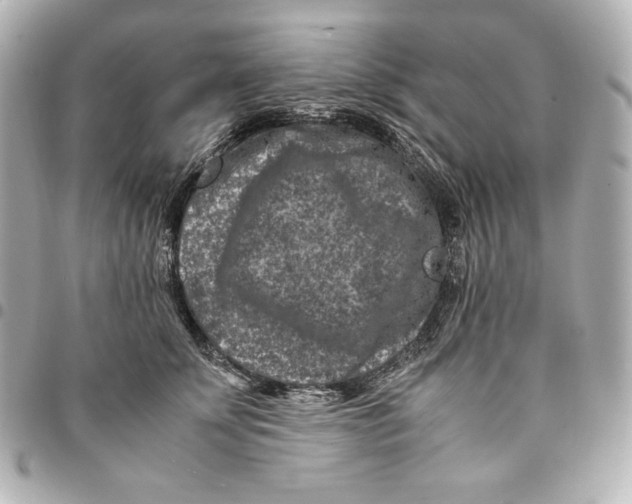 X0000094950707200712201138