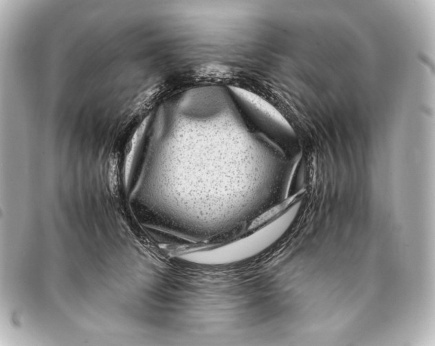 X0000094950708200712201138