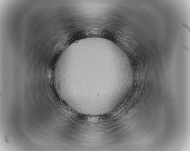 X0000094950709200712201138