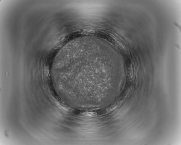 X0000094950711200712201138