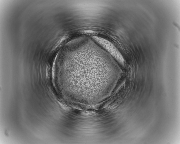 X0000094950712200712201138