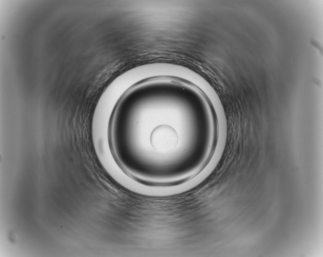 X0000094950713200712201138