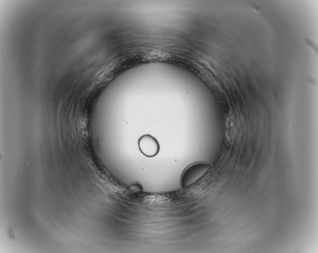 X0000094950714200712201138