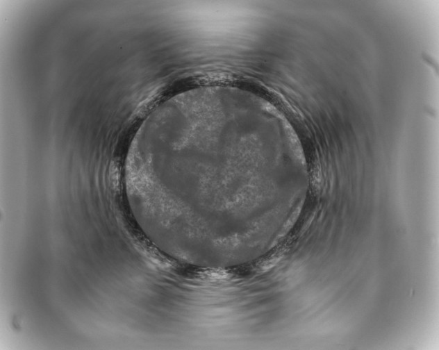 X0000094950715200712201138