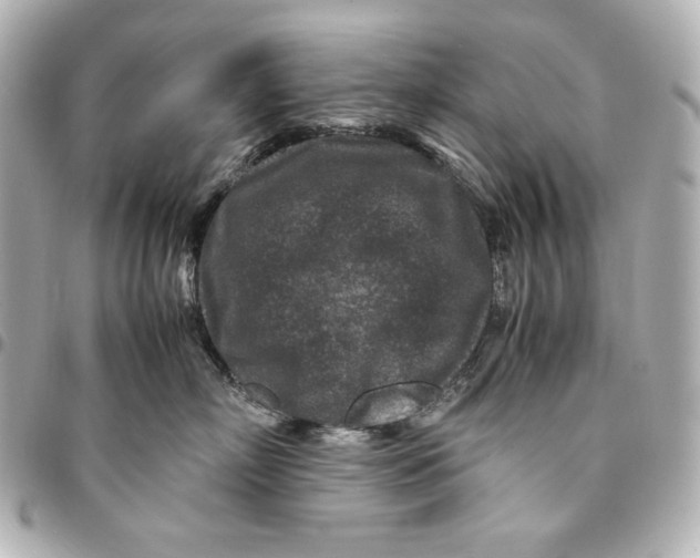 X0000094950718200712201138