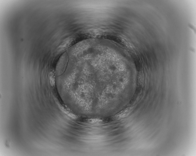 X0000094950719200712201138