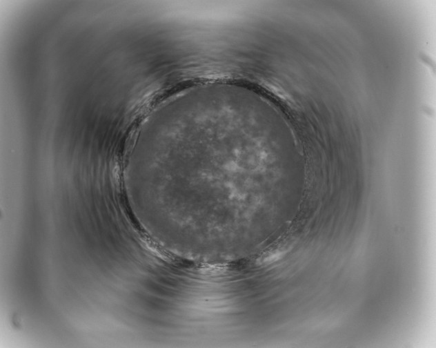 X0000094950720200712201138