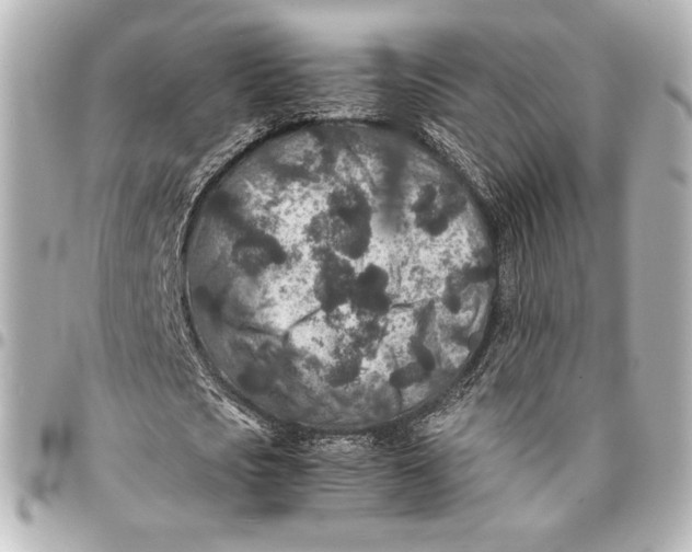 X0000094950721200712201137