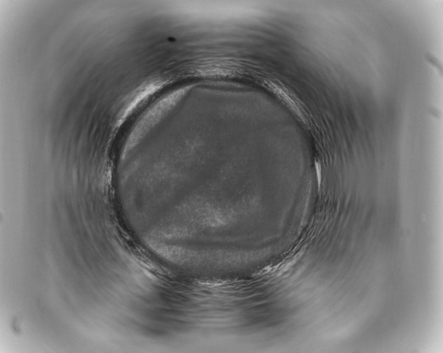 X0000094950723200712201137