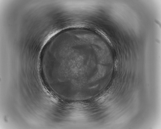 X0000094950724200712201137