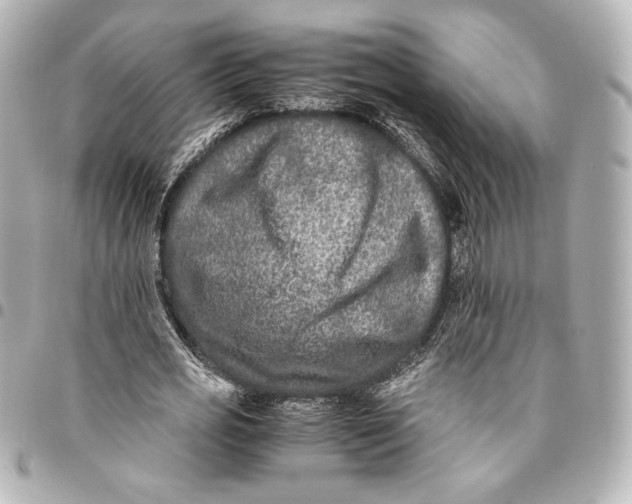 X0000094950725200712201137