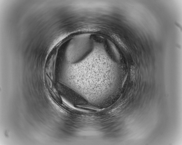 X0000094950726200712201137