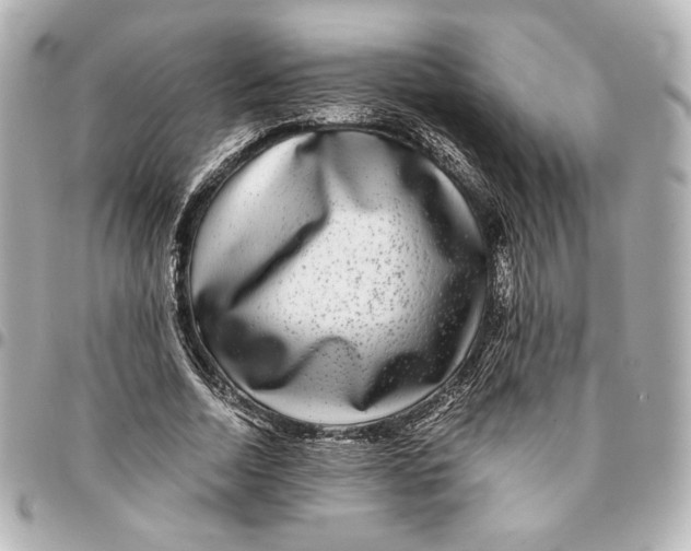 X0000094950730200712201137