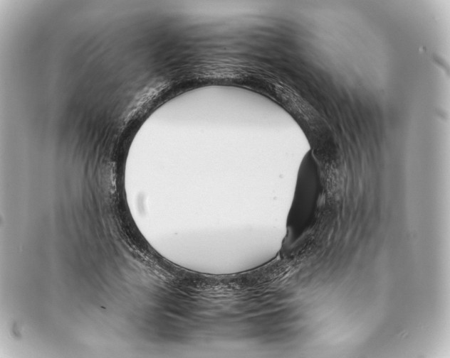 X0000094950731200712201137