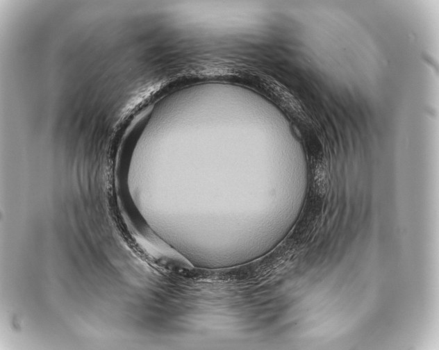 X0000094950732200712201137