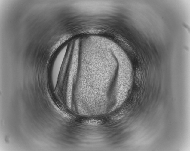 X0000094950734200712201137