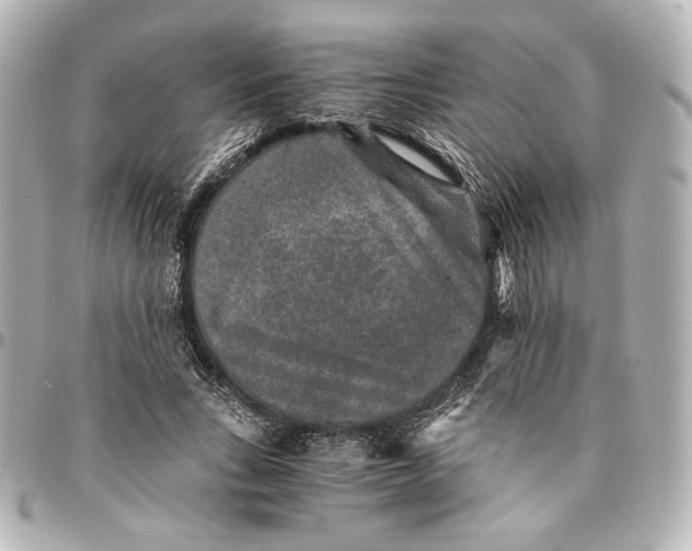 X0000094950735200712201137