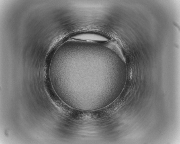 X0000094950736200712201137