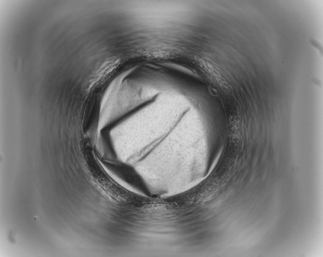 X0000094950738200712201137