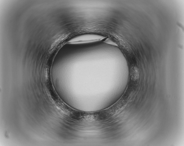 X0000094950740200712201137