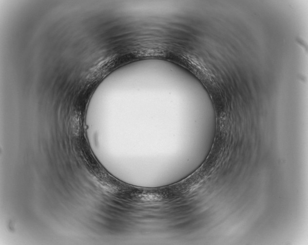 X0000094950741200712201137