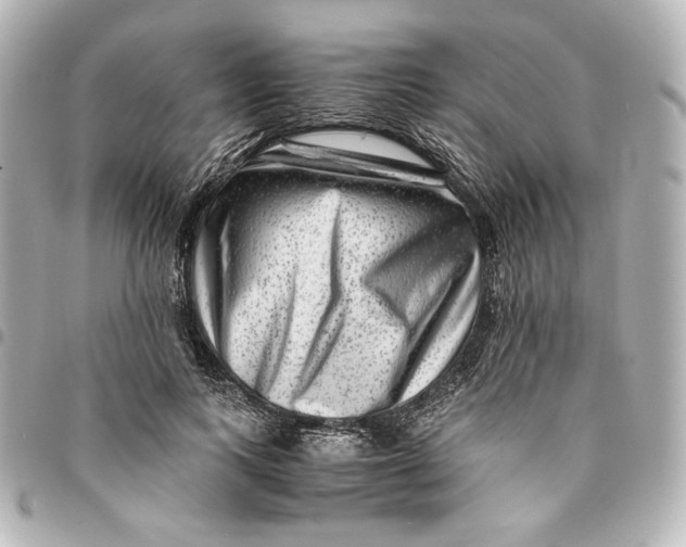 X0000094950743200712201137