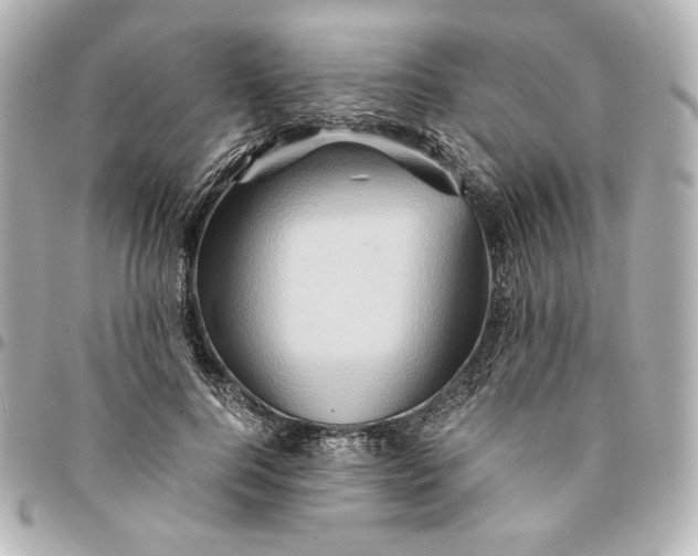 X0000094950744200712201137