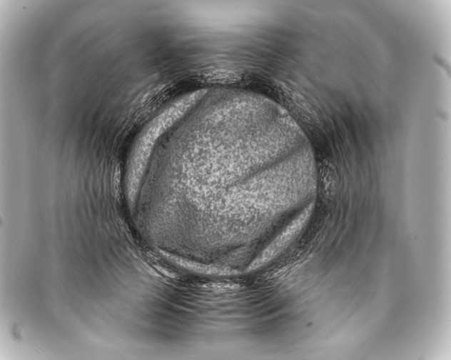 X0000094950745200712201137