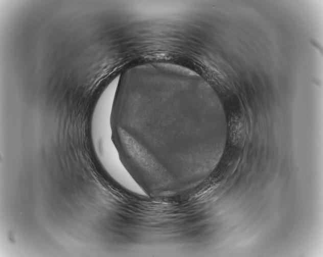 X0000094950747200712201137