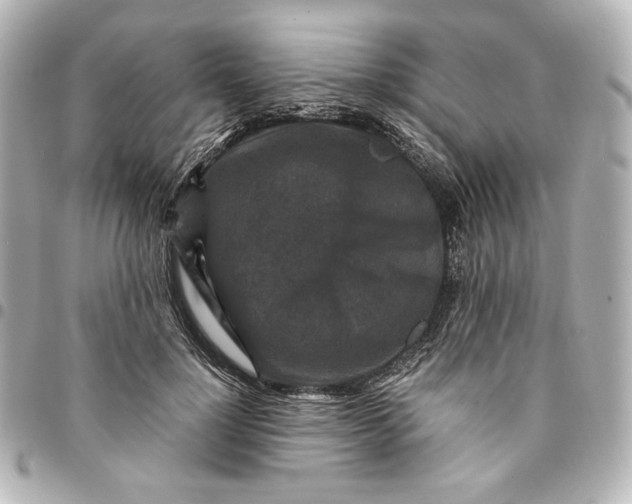 X0000094950748200712201137