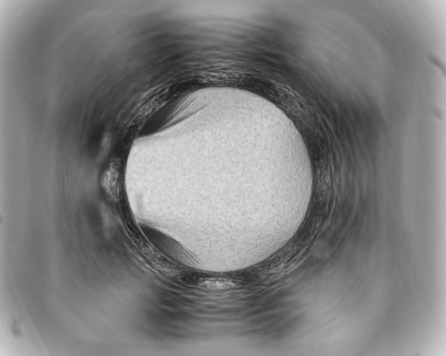 X0000094950749200712201137