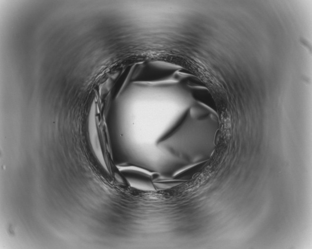 X0000094950750200712201137