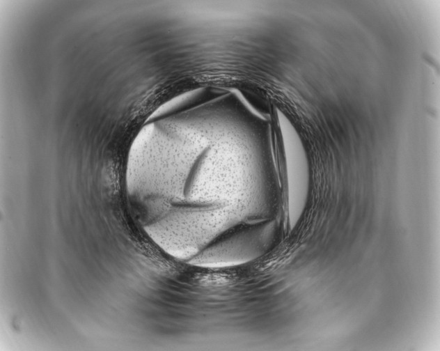 X0000094950751200712201137