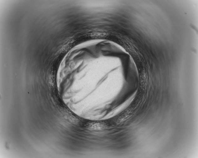 X0000094950755200712201137