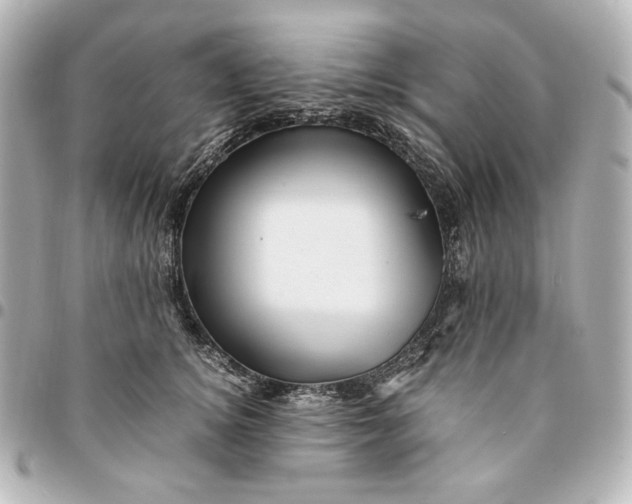 X0000094950756200712201137