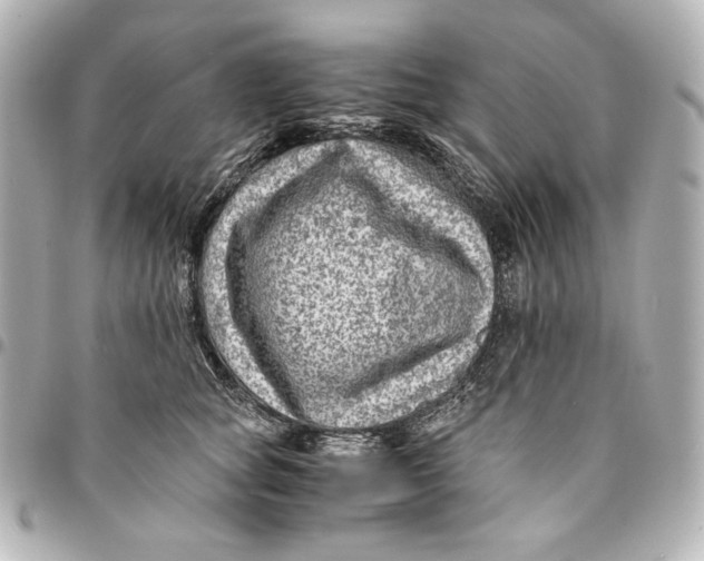 X0000094950757200712201137