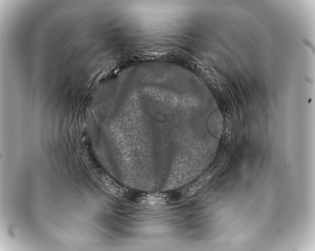 X0000094950758200712201137