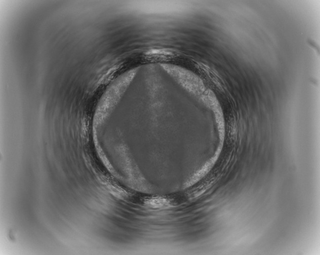 X0000094950759200712201137