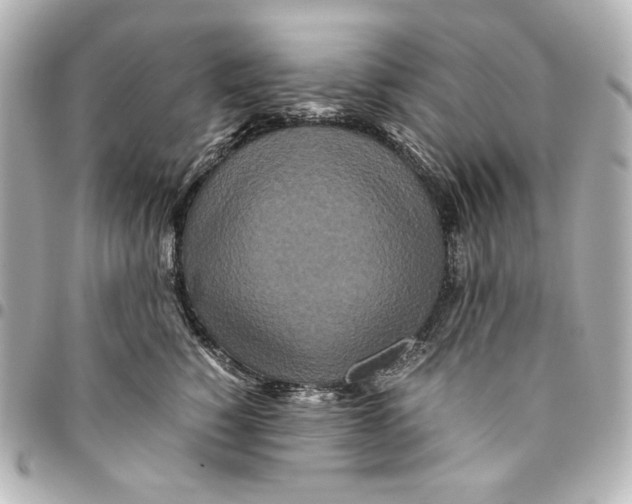 X0000094950760200712201137