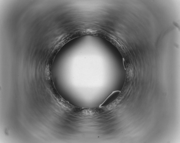 X0000094950764200712201138