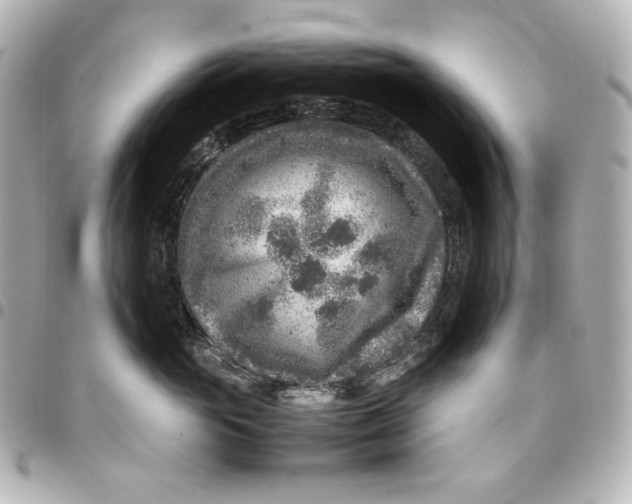 X0000094950765200712201138