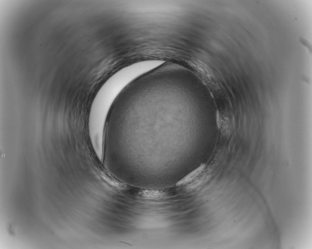 X0000094950766200712201138